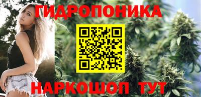 метадон Боровичи