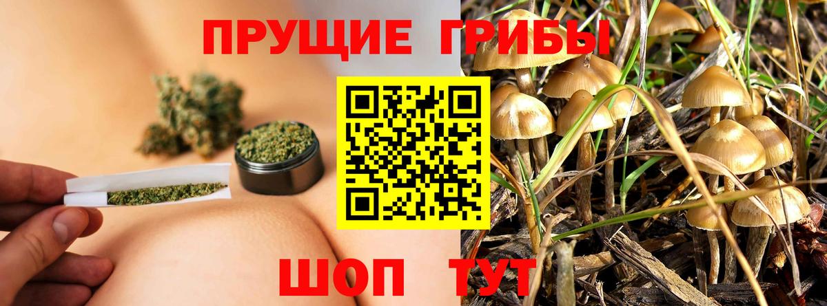 Псилоцибиновые грибы мицелий  Псилоцибиновые грибы мухоморы  Вход с VPN  Прокопьевск 