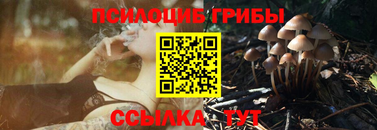 Псилоцибиновые грибы ЛСД Прокопьевск